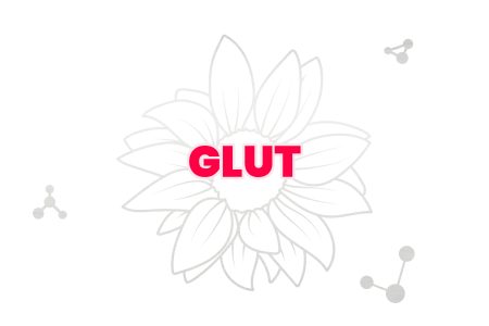 GLUT