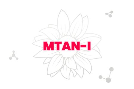 MTAN-I