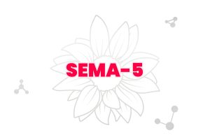 SEMA-5.jpg